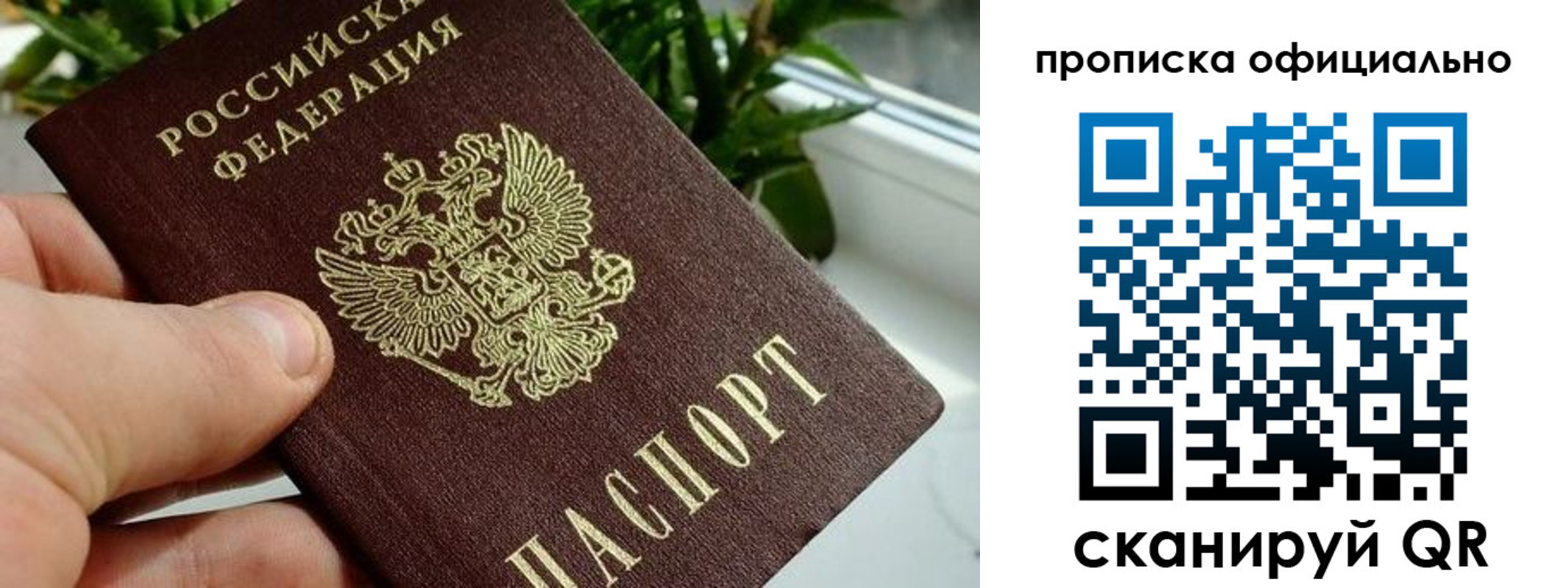 прописка поиск в Калязине